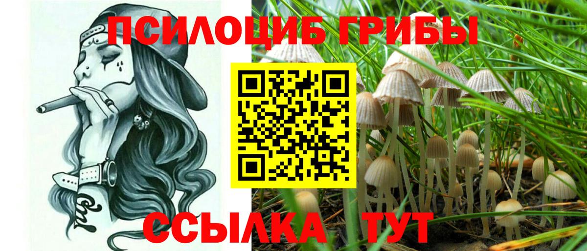 Североморск  Псилоцибиновые грибы MAGIC MUSHROOMS  Вход с VPN  Псилоцибиновые грибы GOLDEN TEACHER 